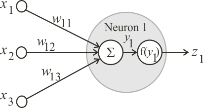 Neuron