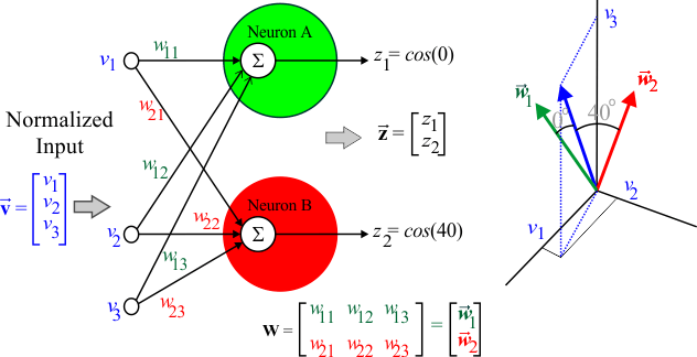 NeuronAB