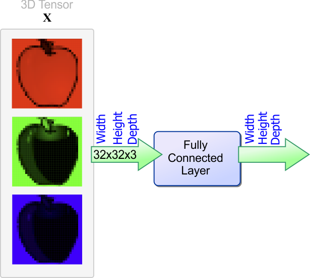 AppleExercise