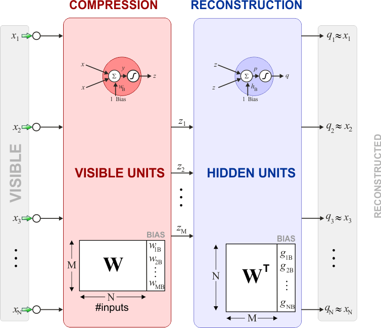 rbm_structure