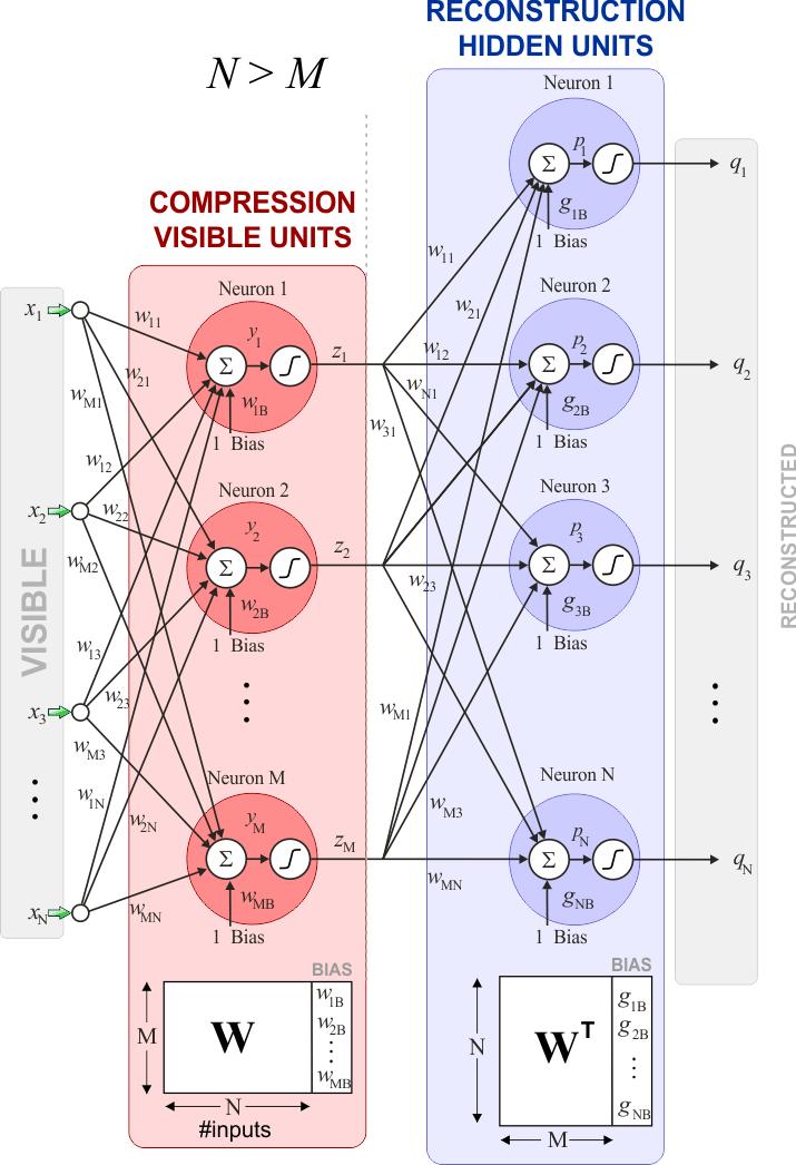 NeuronWeights