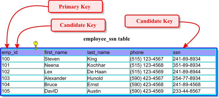 PrimaryKey